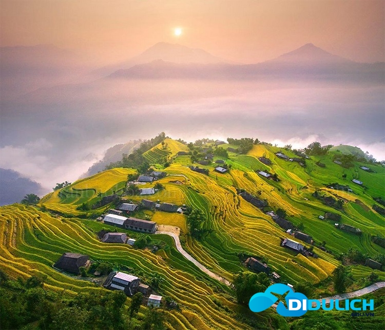 91562535_2694010150727826_449547251845431296_o Hoàng Su Phì Hà Giang, những nấc thang lên thiên đường