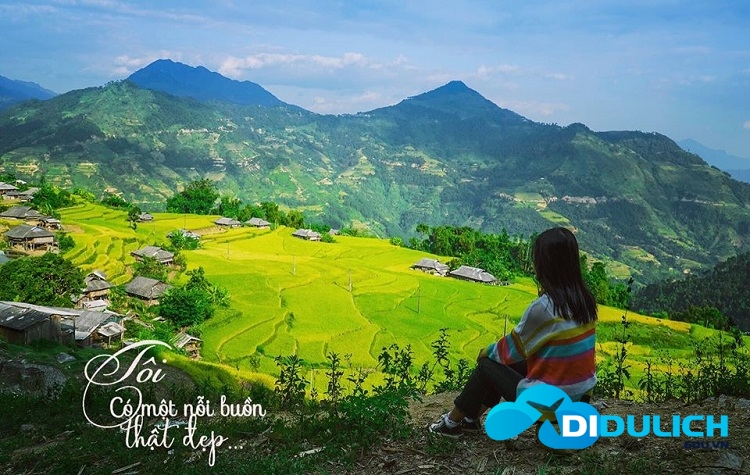 94478691_1568360849995202_2594868757474050048_o-1 Hoàng Su Phì Hà Giang, những nấc thang lên thiên đường