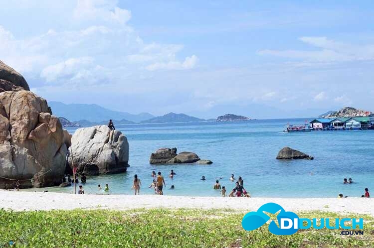 bai-bien-ninh-chu-6_optimized-1 Bãi biển Ninh Chữ