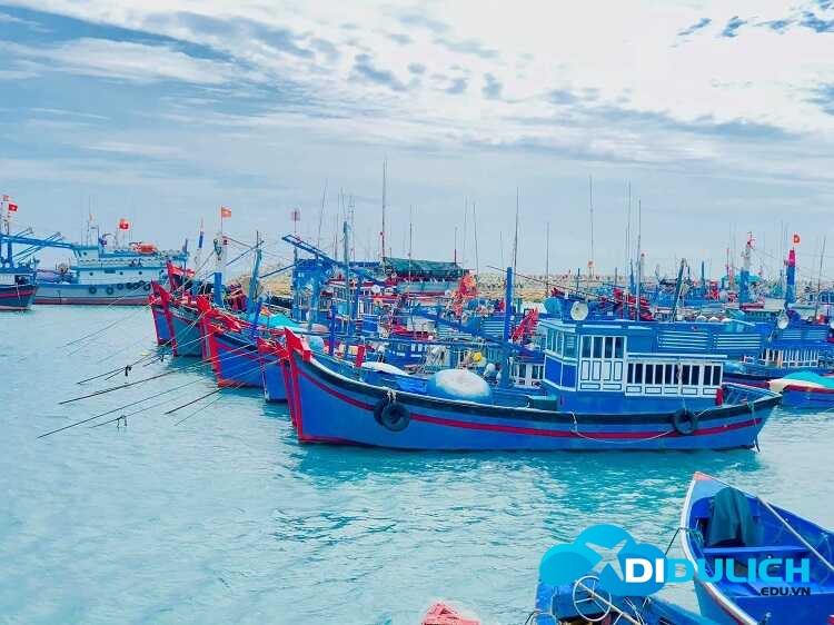 bai-bien-ninh-chu-6_optimized bãi biển Ninh Chữ