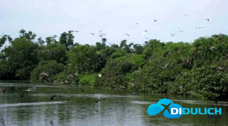 bien-bac-lieu-22_optimized Vườn chim Bạc Liêu