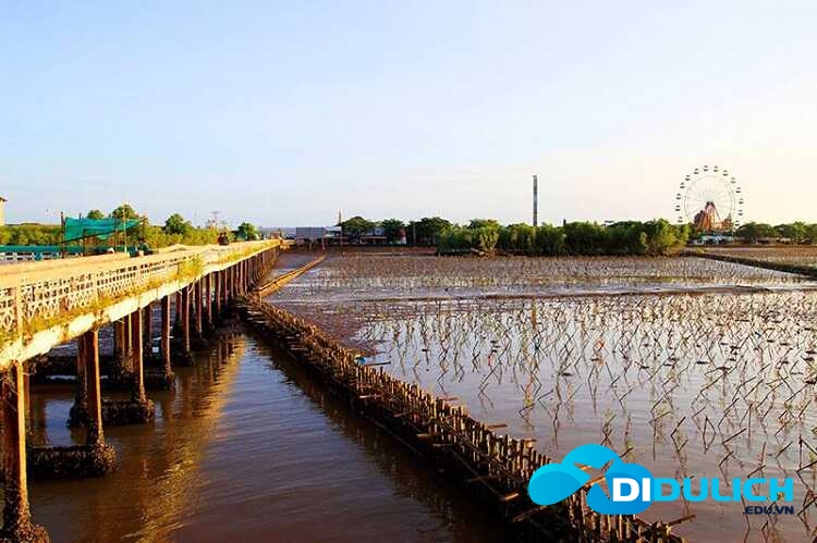 bien-bac-lieu-4_optimized Bãi biển của phù sa