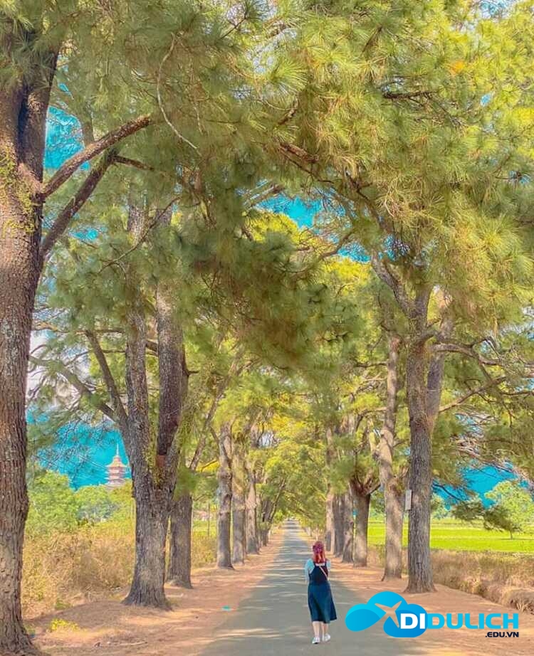 bien-ho-gia-lai-7_optimized Biển Hồ Pleiku Gia Lai