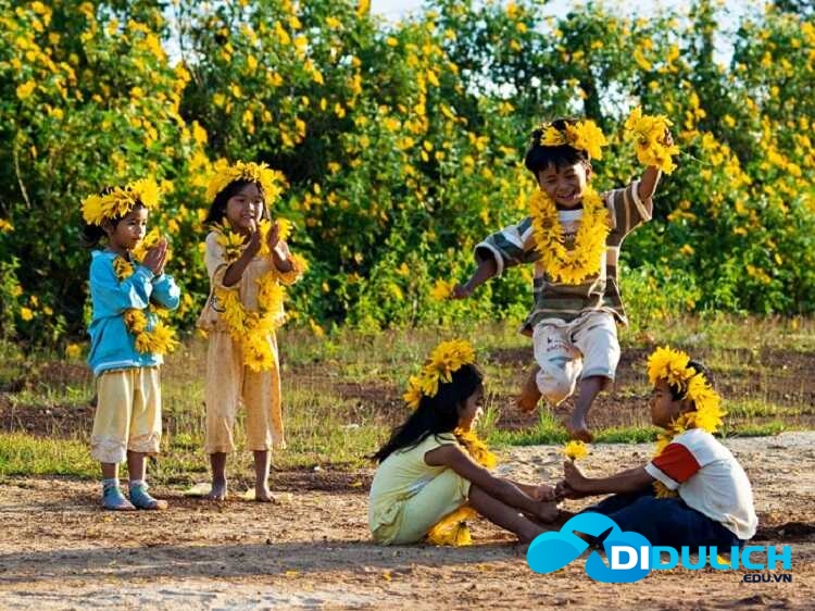 bien-ho-gia-lai-8_optimized Biển Hồ Pleiku Gia Lai