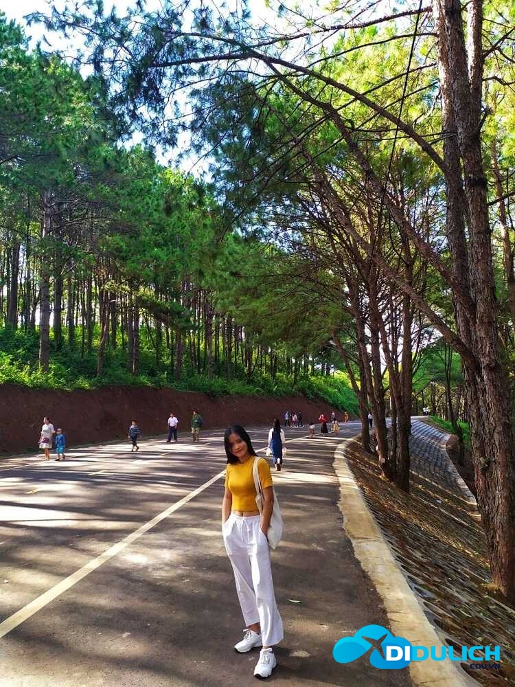 bien-ho-pleiku-gia-lai-1 Biển Hồ Pleiku Gia Lai, ấn tượng màu xanh ngắt của Hồ Tơ Nưng