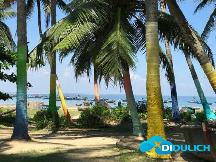 bien-tam-thanh-5 Biển Tam Thanh, nàng hoa hậu bình dị của tỉnh Quảng Nam