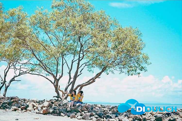 bien-tan-thanh-go-cong-8 Biển Tân Thành Gò Công