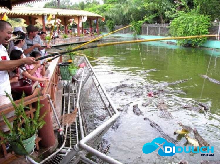bieu-dien-ca-sau_optimized câu cá sấu