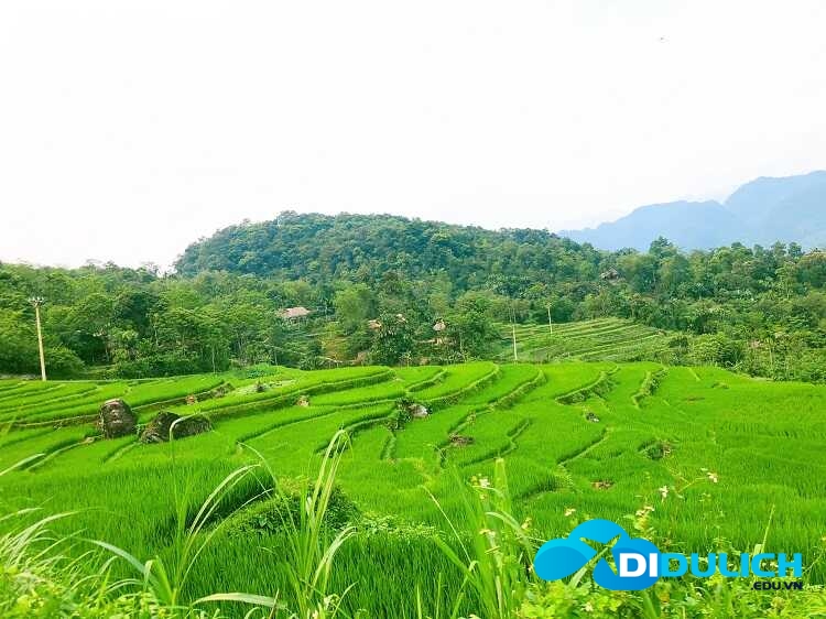 buon-don-ban-don-8_optimized Buôn Đôn (Bản Đôn)