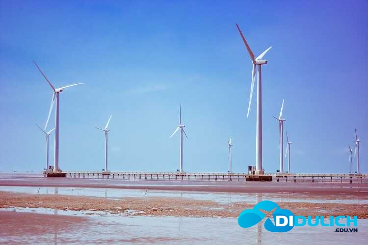 canh-dong-gio-dien-bac-lieu-14_optimized Cánh đồng điện gió Bạc Liêu