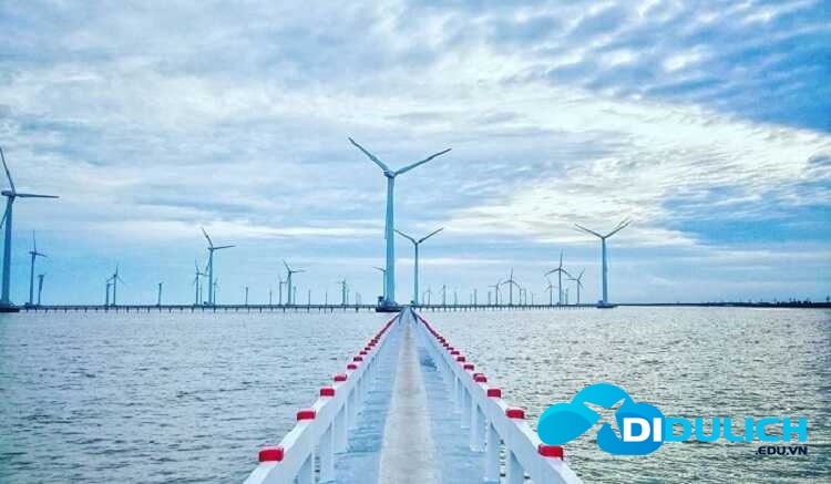 canh-dong-gio-dien-bac-lieu-4_optimized Cánh đồng điện gió Bạc Liêu