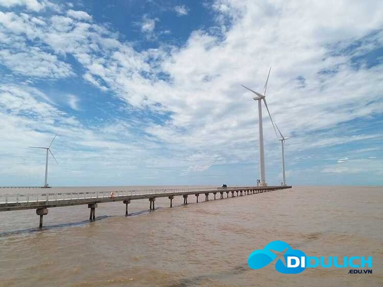 canh-dong-gio-dien-bac-lieu-8_optimized Cánh đồng điện gió Bạc Liêu