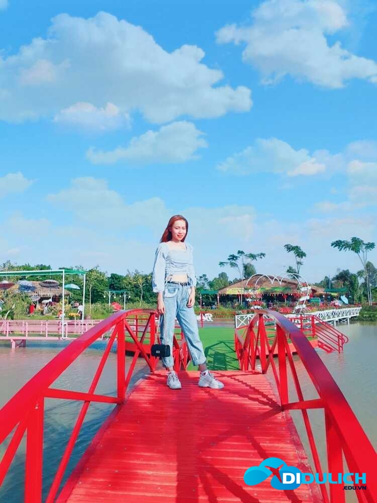 canh-dong-hoa-hong-sa-dec-11_optimized Cánh đồng hoa hồng Sa Đéc