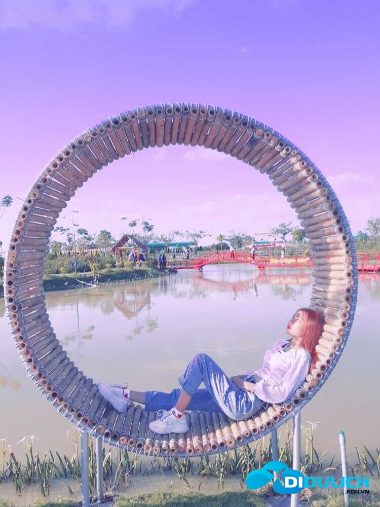 canh-dong-hoa-hong-sa-dec-2_optimized Cánh đồng hoa hồng Sa Đéc