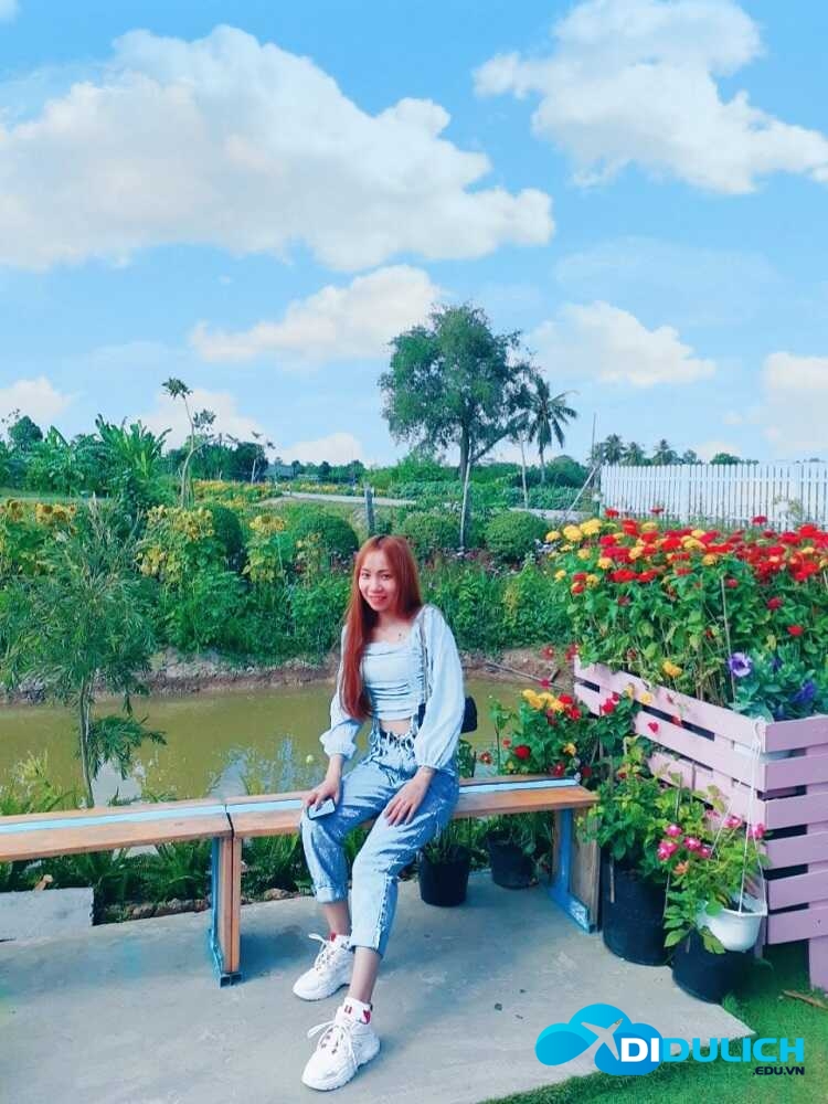 canh-dong-hoa-hong-sa-dec-3_optimized Cánh đồng hoa hồng Sa Đéc