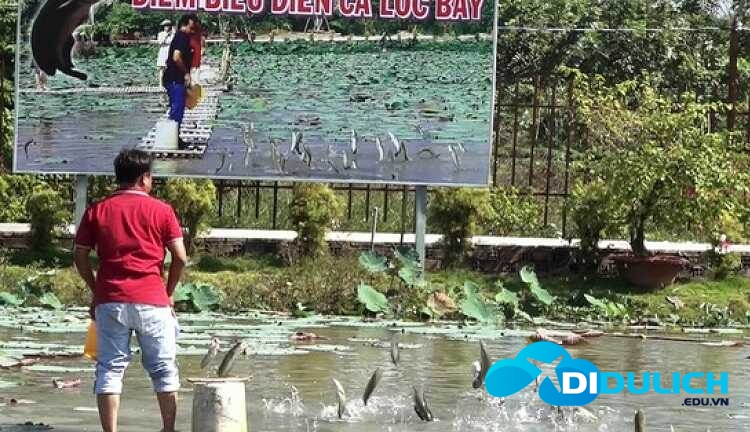 canh-dong-hoa-hong-sa-dec_optimized Cánh đồng hoa hồng Sa Đéc