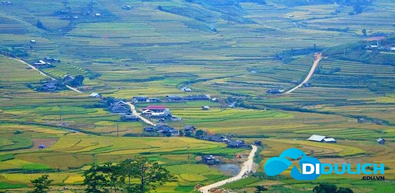 canhdongmuongthanh3_20190930160512-1 Cánh đồng Mường Thanh