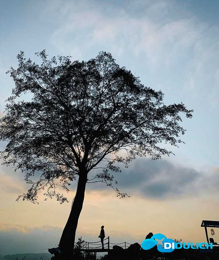 cao-nguyen-moc-chau-5 Cao nguyên Mộc Châu, nơi hội tụ của sông núi hữu tình