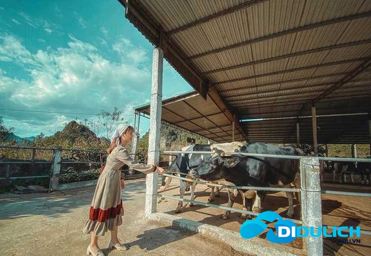 cao-nguyen-moc-chau-7-1 Cao nguyên Mộc Châu, nơi hội tụ của sông núi hữu tình