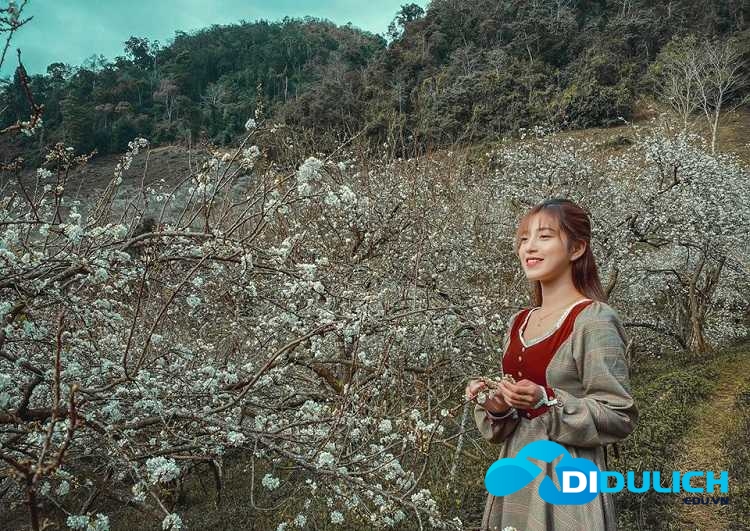 cao-nguyen-moc-chau-9-1 Cao nguyên Mộc Châu, nơi hội tụ của sông núi hữu tình