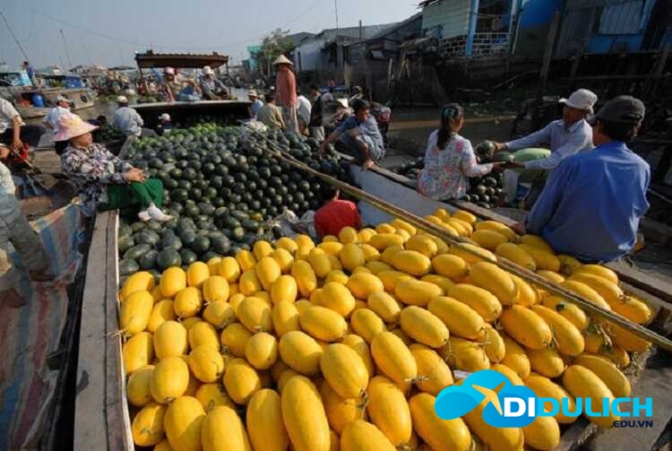 cho-noi-nga-bay-phung-hiep-12_optimized ghe dưa hấu