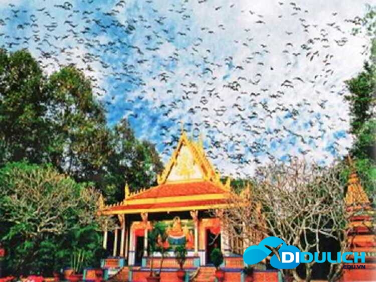 chua-doi-soc-trang-3 dơi rất nhiều