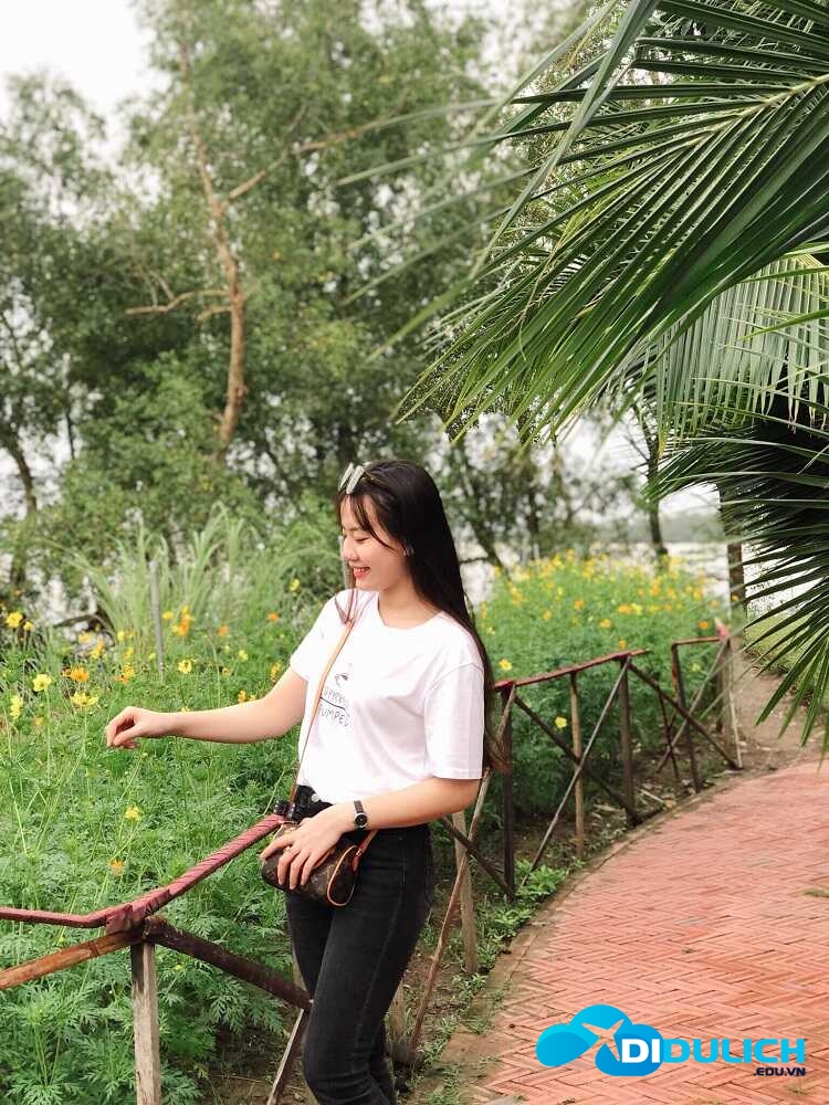 con-phung-ben-tre-3_optimized Tham quan công xưởng sản xuất kẹo dừa