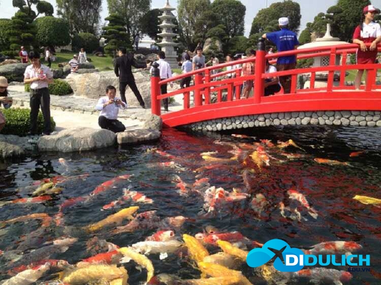 cong-vien-ca-koi-rin-rin-park-3_optimized-1 Công viên cá Koi Rin Rin Park, check in sống ảo phong cách Nhật
