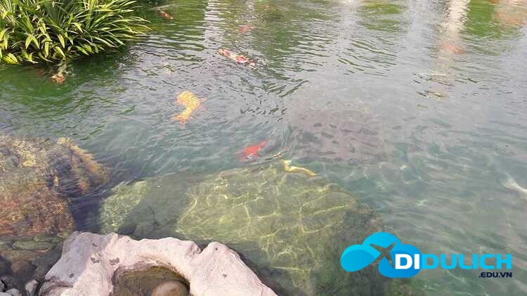 cong-vien-ca-koi-rin-rin-park-4_optimized Rin Rin Park