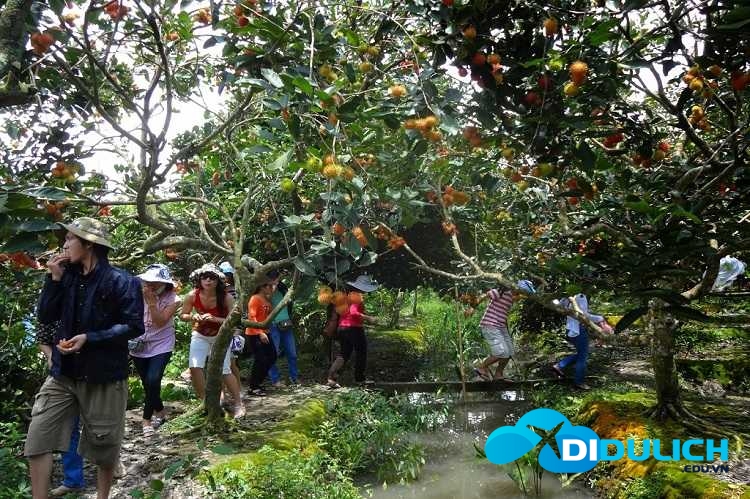 cu-lao-an-binh-6 Cù Lao An Bình, khơi dậy vùng đất đã bị bỏ quên