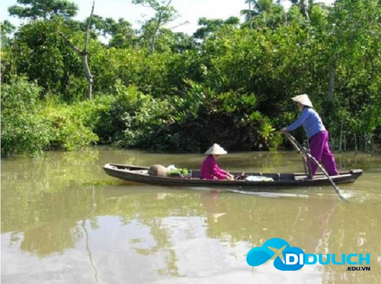 cu-lao-tan-quy-3_optimized-1 đi dạo bằng xuồng