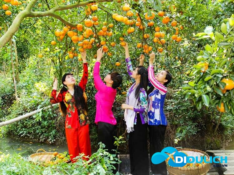cu-lao-tan-quy-9_optimized Cù Lao Tân Quy, vườn trái cây ở miền tây được bao bọc sông nước