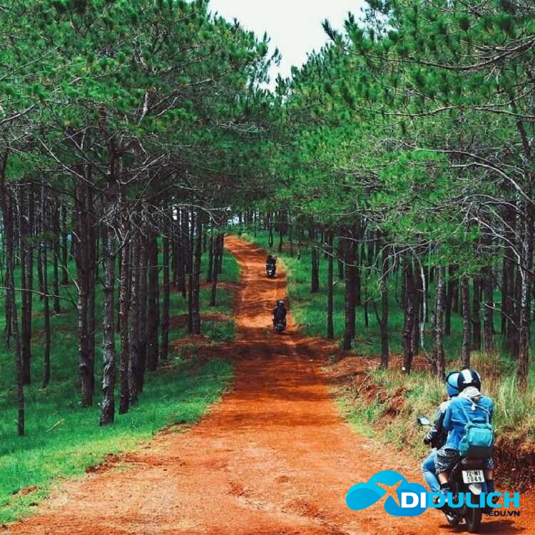cung-duong-den-ho-ta-dung_optimized Check in trên cung đường đi đến Hồ Tà Đùng