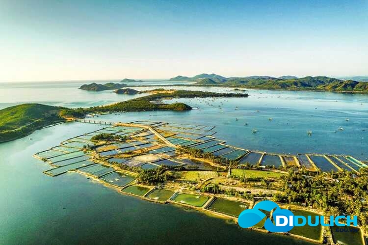 dam-o-loan-7 Đầm Ô Loan
