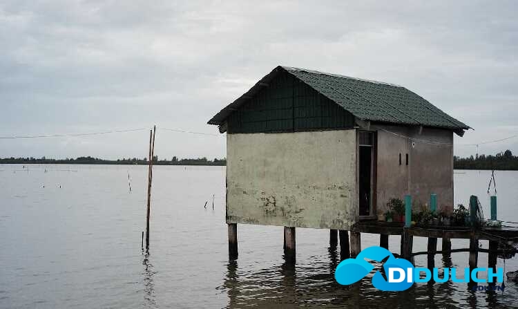 dam-thi-tuong-ca-mau-11_optimized Đầm Thị Tường Cà Mau