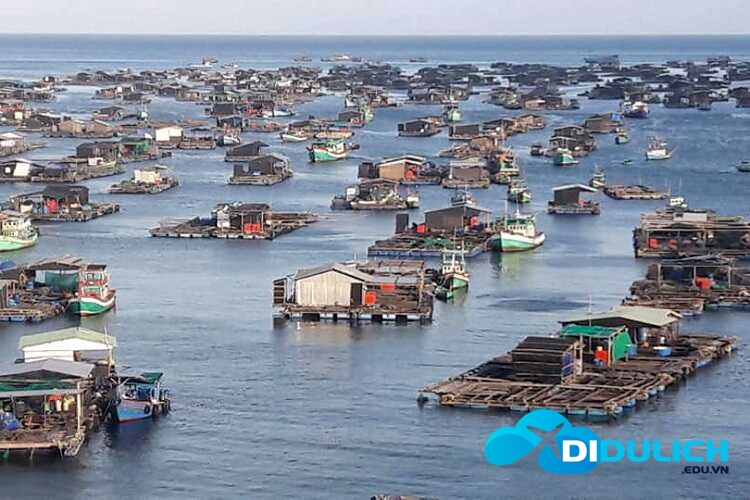 dam-thi-tuong-ca-mau-22_optimized Đầm Thị Tường Cà Mau