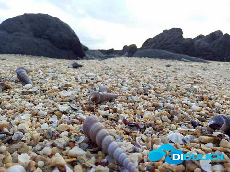 dao-cai-chien-12_optimized Đảo Cái Chiên Quảng Ninh