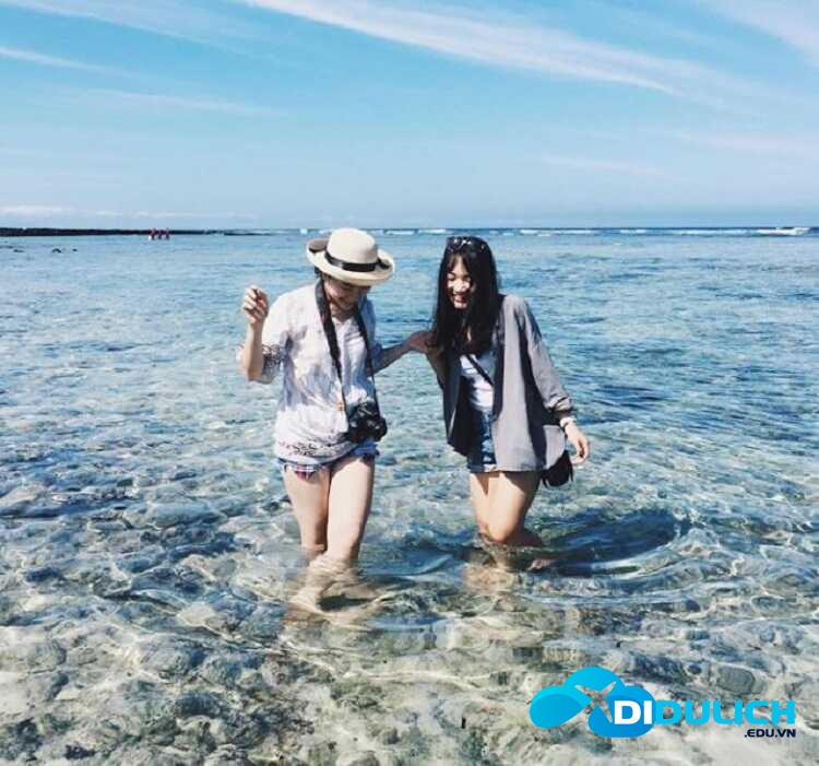 dao-cai-chien-30_optimized Đảo Cái Chiên Quảng Ninh