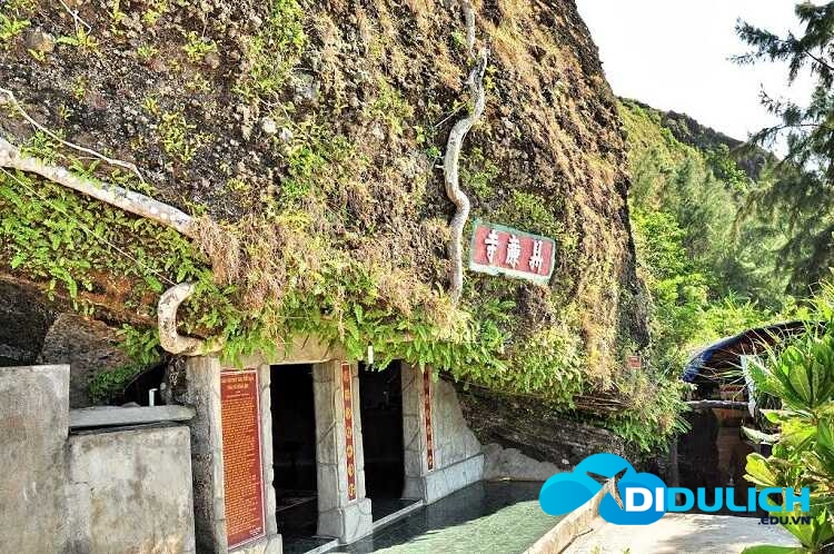dao-ly-son-6_optimized Đảo Lý Sơn Tỉnh Quảng Ngãi