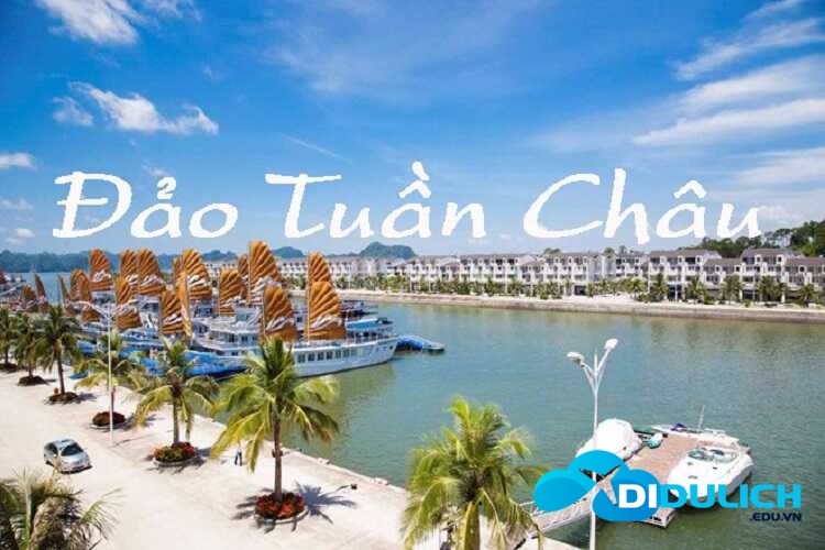 dao-tuan-chau-9-1 Đảo Tuần Châu, thiên đường du lịch chuẩn quốc tế của Quảng Ninh