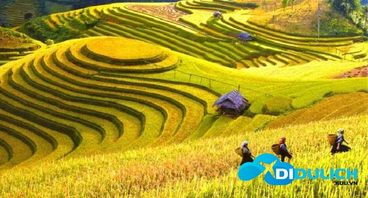 deo-ma-pi-leng-6 Mã Pí Lèng Hà Giang có thực sự nguy hiểm