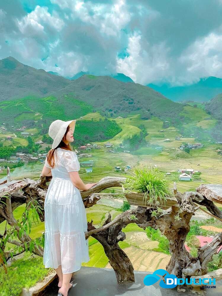 deo-o-quy-ho-4_optimized-1 đèo Ô Quy Hồ