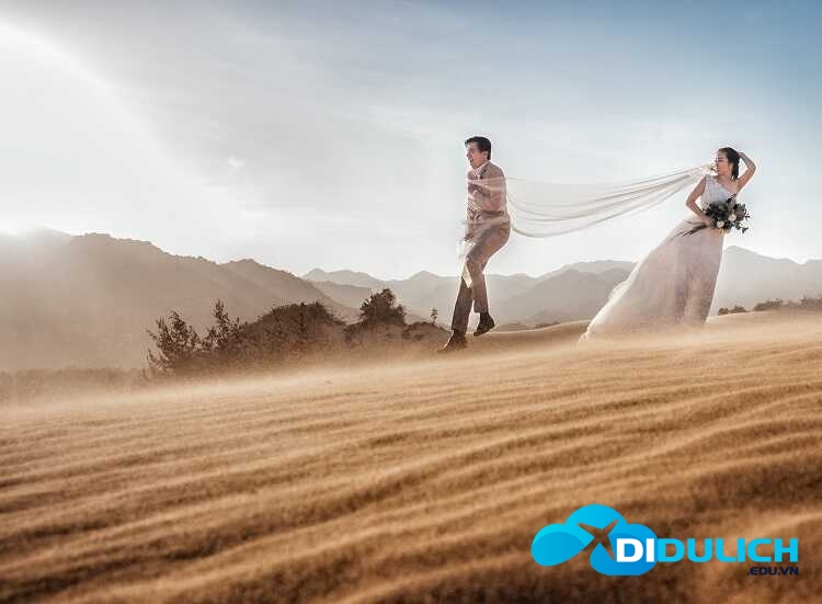 doi-cat-nam-cuong_optimized Đồi cát Nam Cương