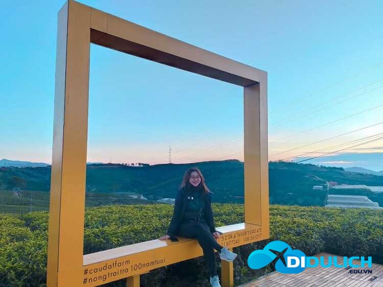 doi-che-cau-dat-10_optimized đồi chè Cầu Đất