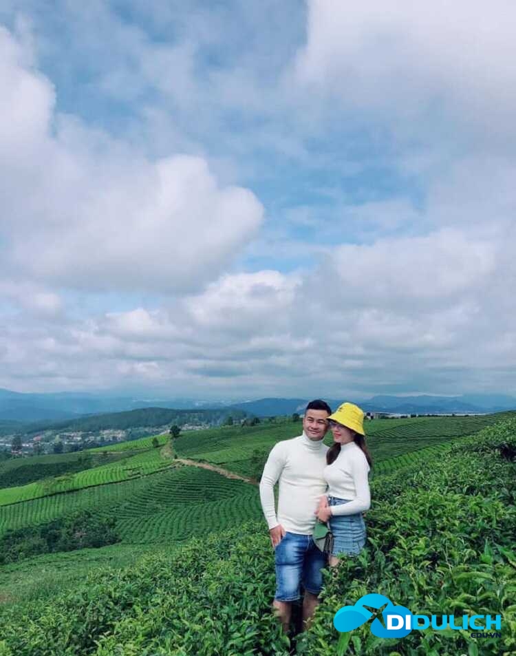 doi-che-cau-dat-2_optimized đồi chè Cầu Đất