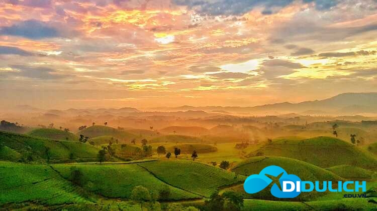 doi-che-long-coc-1_optimized hoàng hôn đồi chè