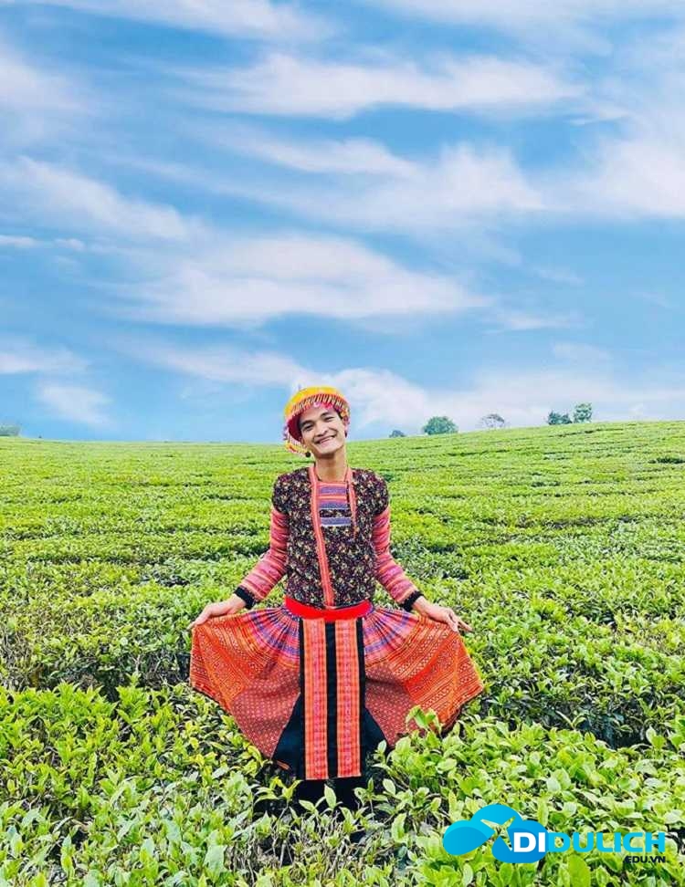 doi-che-tam-chau-3 Đồi chè Tâm Châu, điểm du lịch check in nổi tiếng của Bảo Lộc