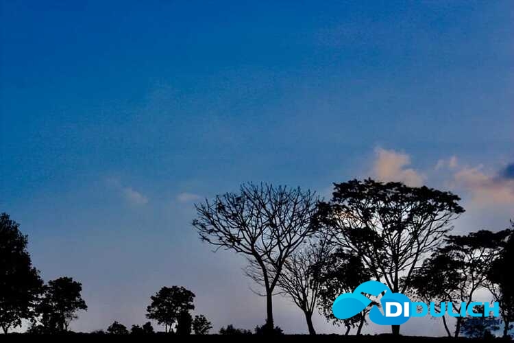 doi-che-tam-chau-7_optimized Đồi chè Tâm Châu