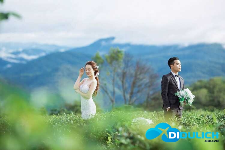 doi-che-tan-uyen-1-4-1 Đồi Chè Tân Uyên