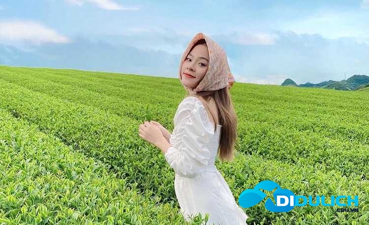 doi-che-tan-uyen-10 Đồi Chè Tân Uyên